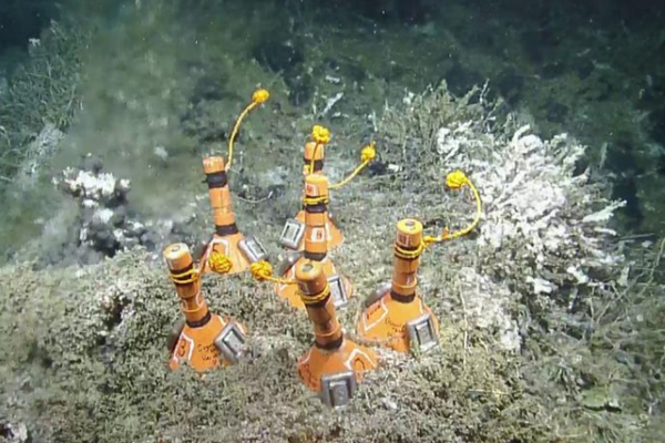 Simon’s Rock Students Receive NASA Fellowship for Deep-Sea Research